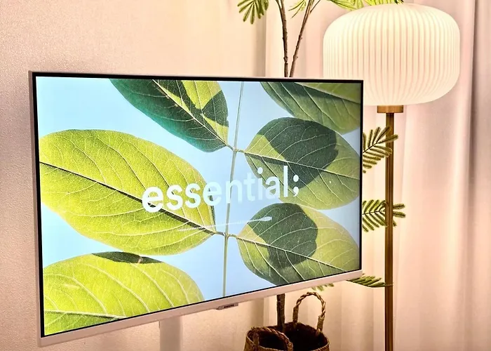 Opening Special, Lona Ku, Subway Station 5 Minutes, Stylish Design アパート